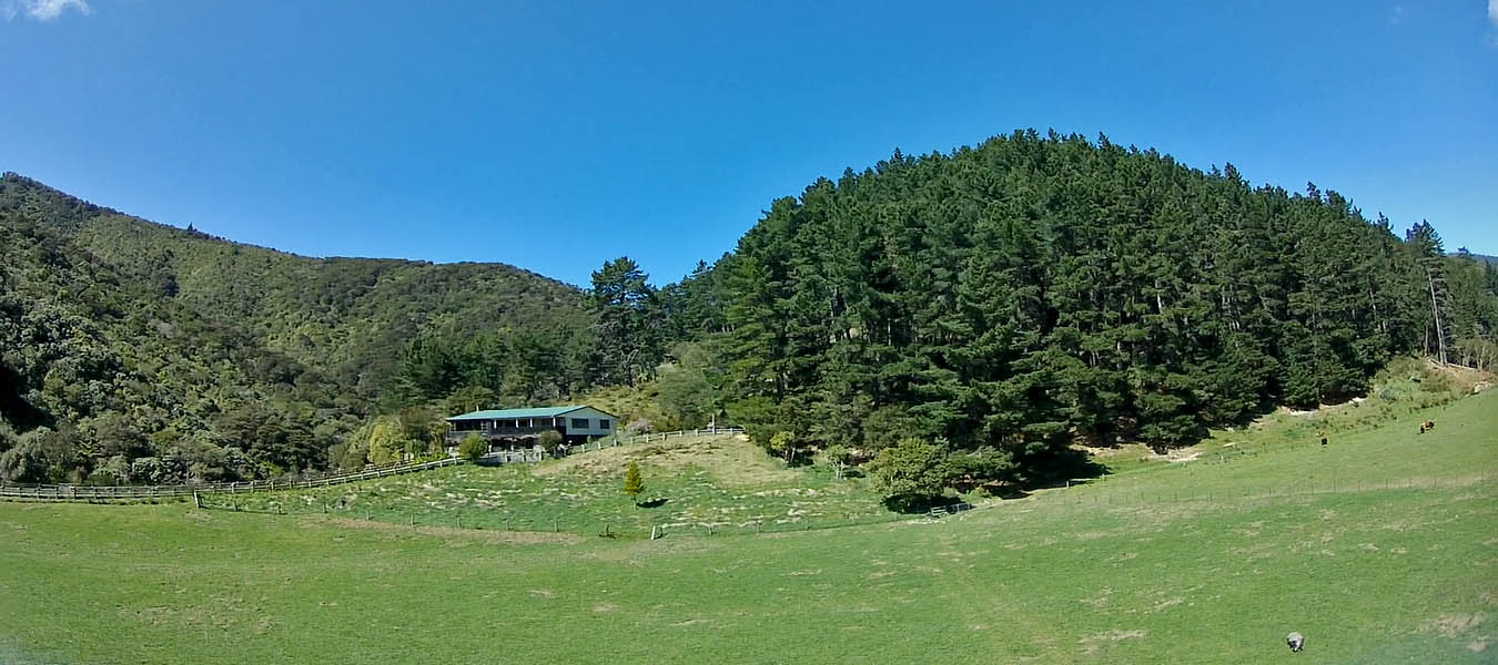 Peace & Quiet Farmstay