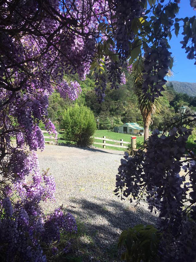 Parking is right outside the room