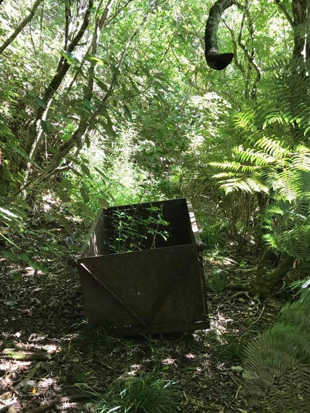 You are welcome to explore all 60 acres of our property