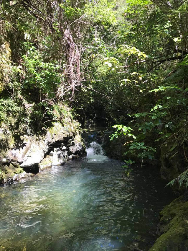 There is a swimming hole and a private creek